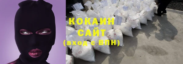 кокс Алексин