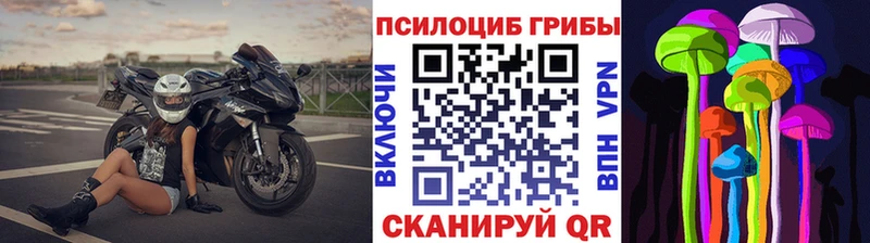 Галлюциногенные грибы мухоморы  Чайковский 